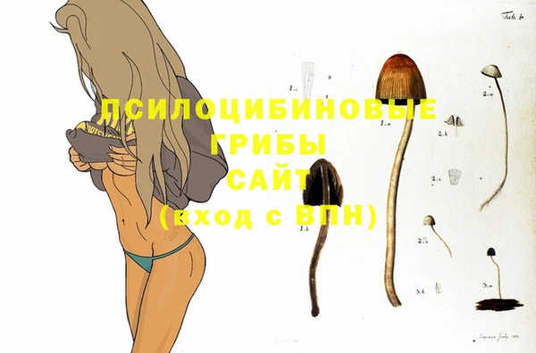 герыч Зеленодольск
