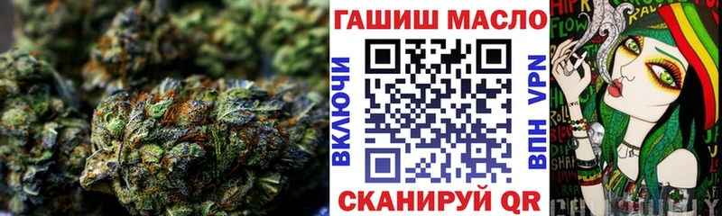 Купить где  Данилов  ТГК концентрат 